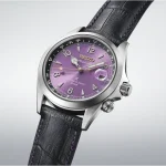 Seiko - Orologio Seiko Prospex Alpinist Ed Limitata 145° Anniversary - immagine 6